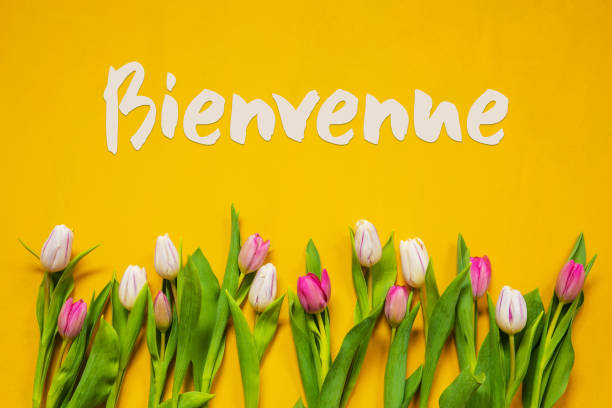 istock Colorful Tulip, Text Bienvenue Means Welcome, Yellow Background 1211285541