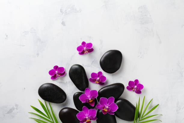istock Spa composition with flowers, green leaves and massage stone on white background top view. Beauty treatment and relaxation concept. Flat lay. 1211286485