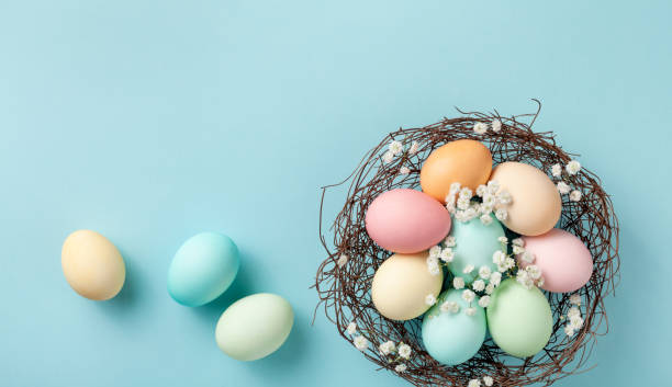 istock Easter eggs in nest on blue pastel background top view. Modern flat lay. 1211286617
