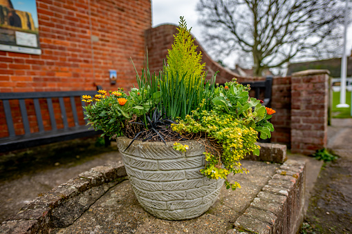 Horning, Norfolk, UK - March 07 2020. Outdoor ornate plant pot filled with pretty plants and flowers on a concrete plinth in a public seating area in the village of Horning