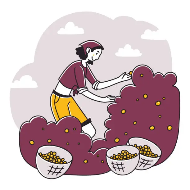 Vector illustration of Woman gathering cherries in garden