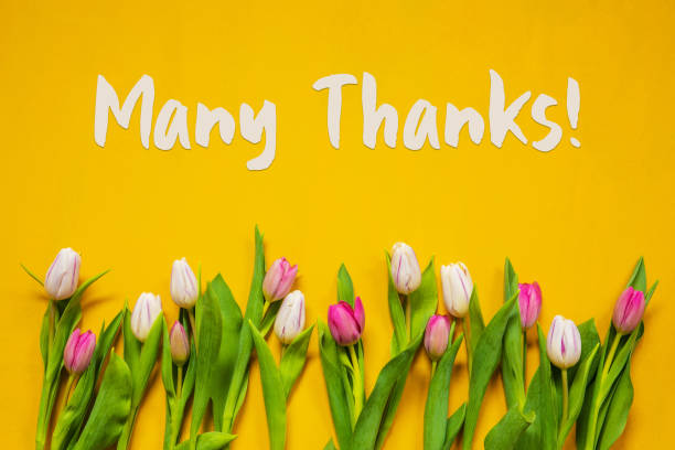 istock Colorful Tulip, Spring Flowers, Text Many Thanks, Yellow Background 1211287688