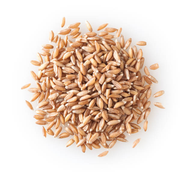 istock Heap of uncooked spelt grains isolated on white background 1211288781