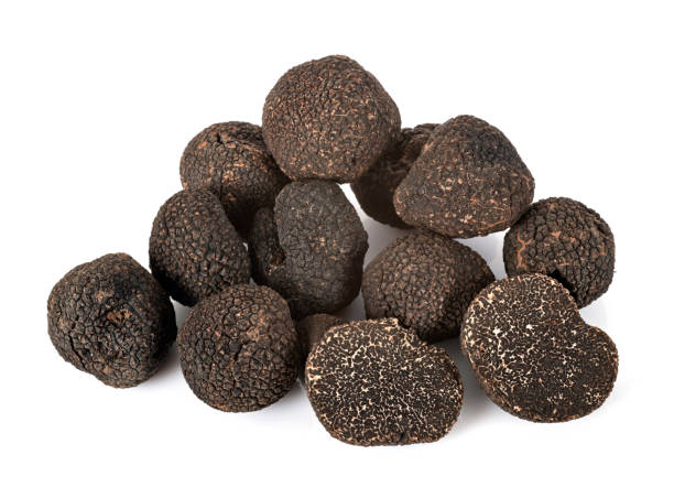 圖伯黑色素波魯姆 - truffle tuber melanosporum mushroom 個照片及圖片檔