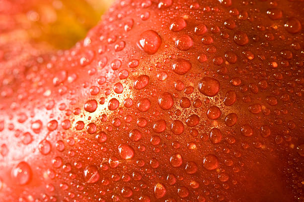 maçãs - wet apple imagens e fotografias de stock