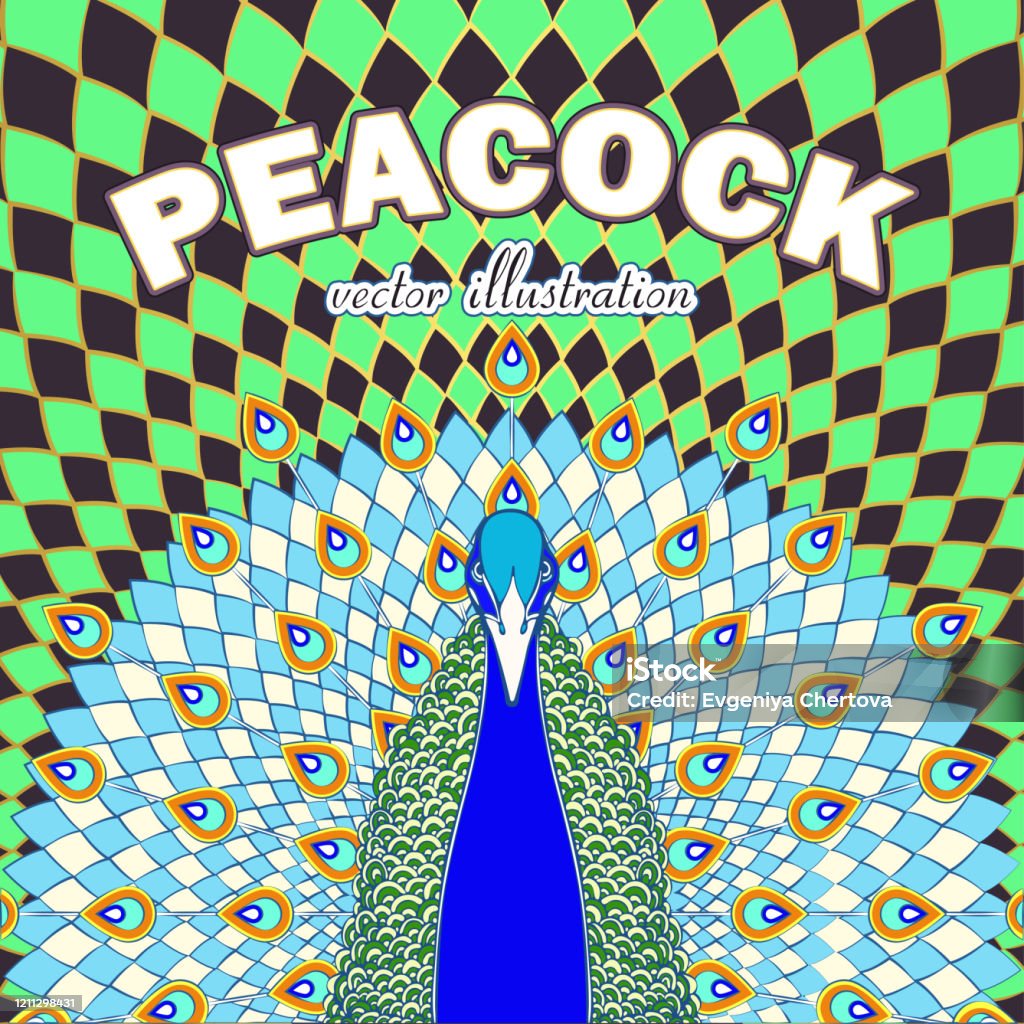 Con Công Với Đuôi Chảy Trên Nền Hình Học Và Văn Bản Chim Màu Xanh ...