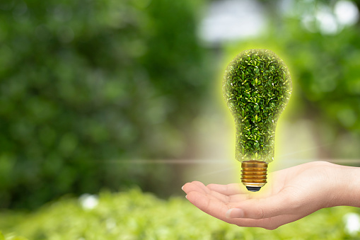 Hand holding light bulb against nature on green leaf, sustainable development. Technology ,Environment ,Ecology concept.