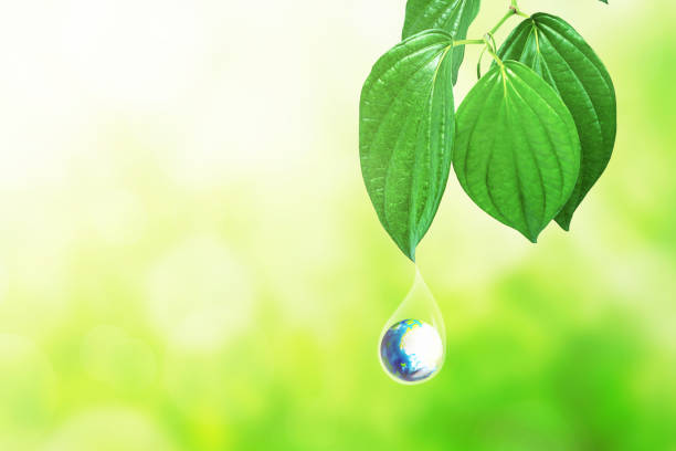 istock Earth in water drop under the green leaf 1211302800