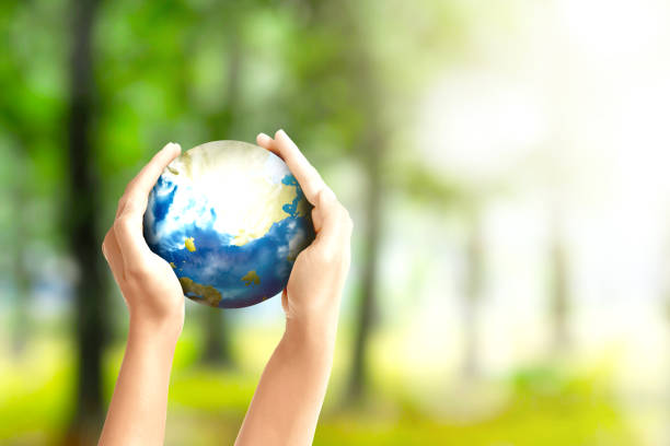 istock Human hands holding the earth 1211303118