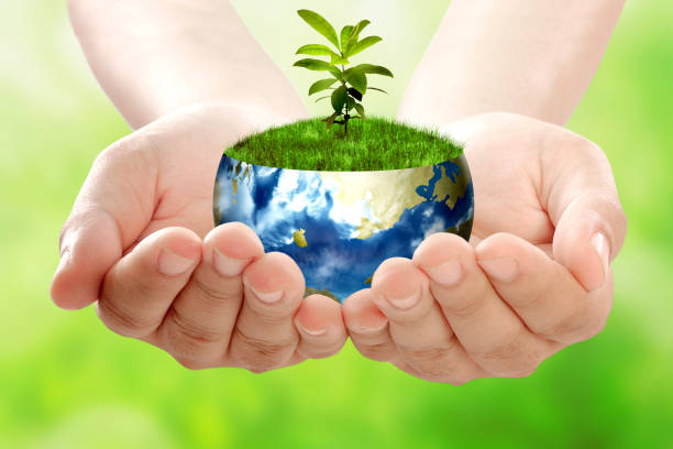 istock Human hands holding the earth with growing plants above it 1211303365