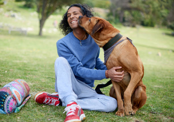 istock Dogs leave paw prints on your heart forever 1211303862