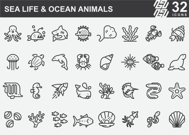 illustrations, cliparts, dessins animés et icônes de sea life et animaux de l’océan icônes de ligne - algae