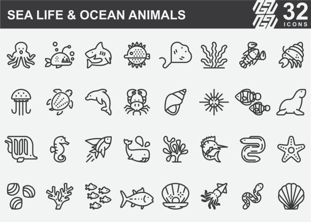 illustrazioni stock, clip art, cartoni animati e icone di tendenza di sea life e ocean animals line icons - mondo marino