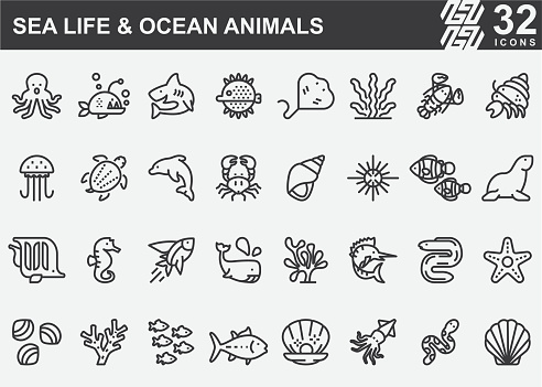Sea Life and Ocean animals Line Icons