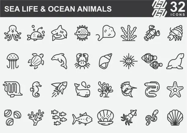 Vector illustration of Sea Life and Ocean animals Line Icons