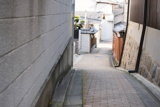 istock Alley of Esaka 1211305691