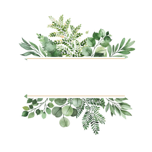 Watercolor Greenery frame invitation with leaves,fern,branches,berry Watercolor Greenery frame invitation with leaves,fern,branches,berry.Perfect for wedding,greeting cards,quotes,logos and your unique creation. frame border clipart stock illustrations