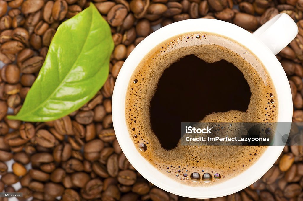 Cup of coffee Cup of coffee and coffee beans with green leaf of coffee plant. Focus on cup Coffee - Drink Stock Photo