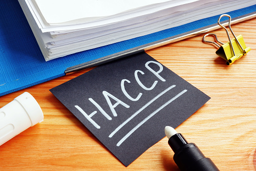 Conceptual hand written text showing HACCP