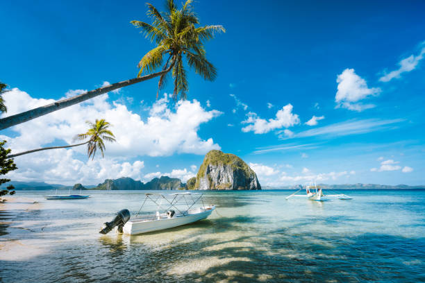 istock Exotic tropical seascape with palm tree, jetty pier, boats, blue sky and white clouds 1211309816