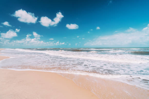 istock Beautiful tropical beach with blue sky and white clouds abstract texture background. 1211310503