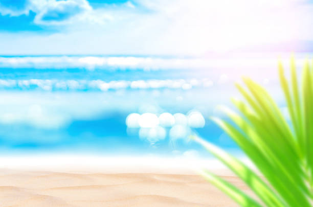 istock Blur beautiful nature green palm leaf on tropical beach with bokeh sun light wave abstract background. 1211310761