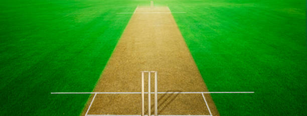 Cricket pitch cricket ground pitch green grass stadium