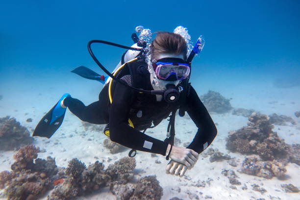 istock Young diver floats underwater in the sea 1211312546