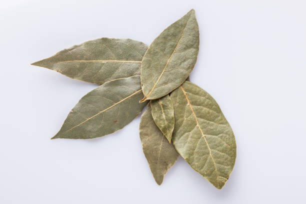 istock ground dried bay leaf on white acrylic background 1211312788
