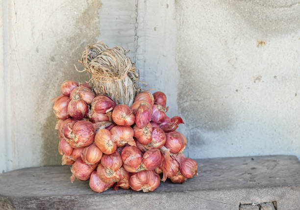 istock Red onions, vegetable garden in Thailand. 1211316435