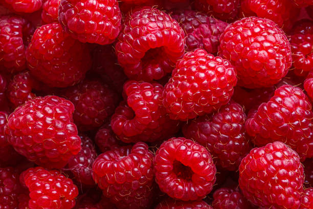 istock Juicy fresh natural raspberries on white acrylic background 1211316701