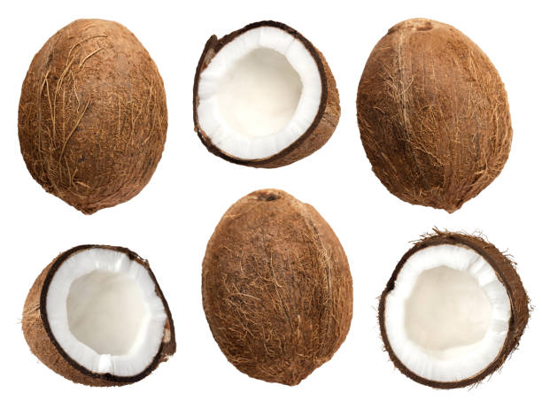 istock coconut isolated on the white background . 1211317166
