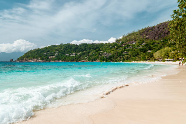 istock Tropical beach Seychelkles , white beach with palm tree at Praslin Seychelles 1211320303