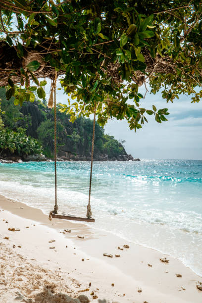 istock Tropical beach Seychelkles , white beach with palm tree at Praslin Seychelles 1211320382
