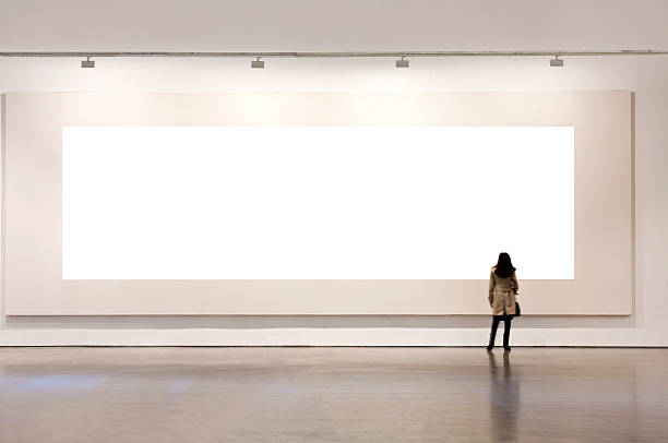 one woman looking at white frame in an art gallery - museum wall stockfoto's en -beelden