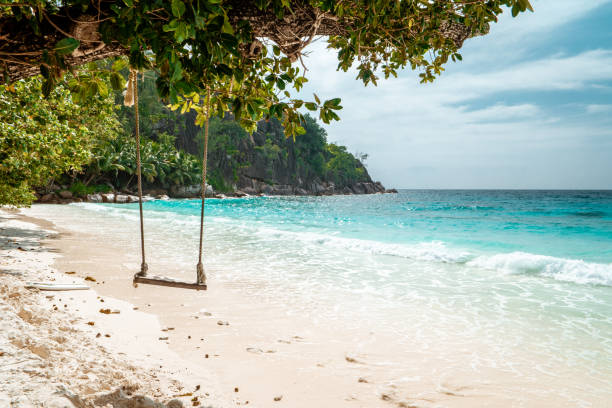istock Tropical beach Seychelkles , white beach with palm tree at Praslin Seychelles 1211321312