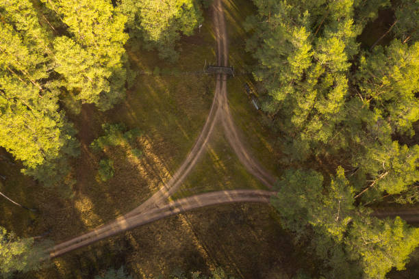 istock Drone view of tree way dirt road intersection in a forest 1211321973