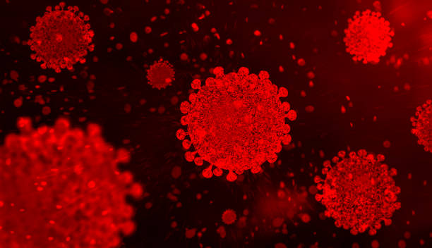 istock corona virus COVID-19 microscopic virus corona virus disease 3d illustration 1211322874