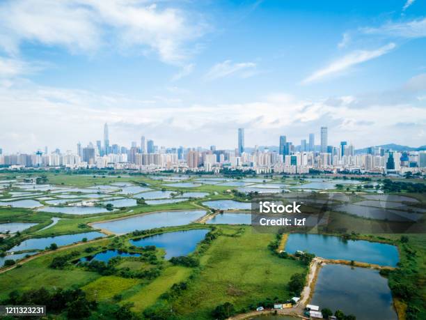 Beautiful Landscape Of Skylines Of Shenzhenchina Stock Photo - Download Image Now - Shenzhen, Aerial View, Environmental Conservation