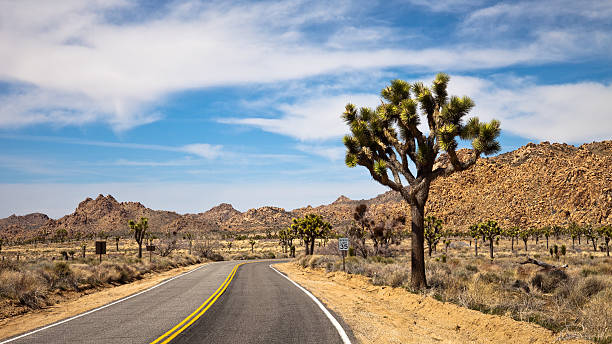 旅ジョシュアツリー国立公園 - desert road road highway california ストックフォトと画像