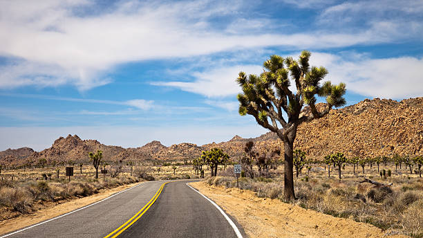 путешествие через joshua национальный парк дерева - desert road road highway california стоковые фото и изображения