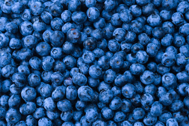istock Fresh blueberry background. Texture blueberry berries close up. 1211324310