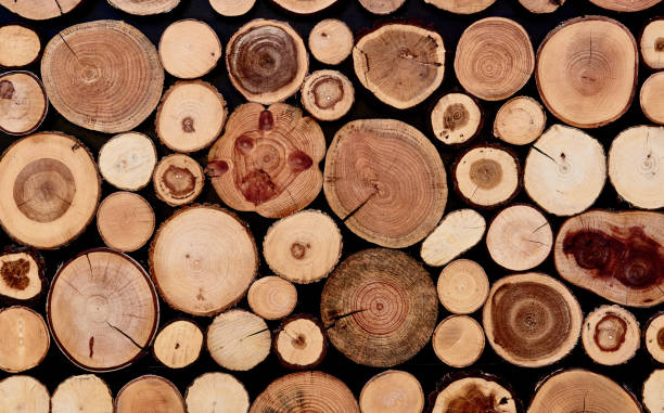 istock round wooden stump cut panel for background 1211324569