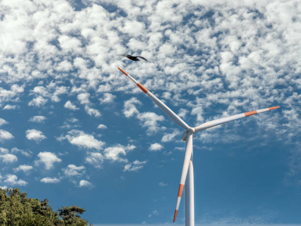 istock Wind turbine with beautiful clouds on the sky background. 1211326034