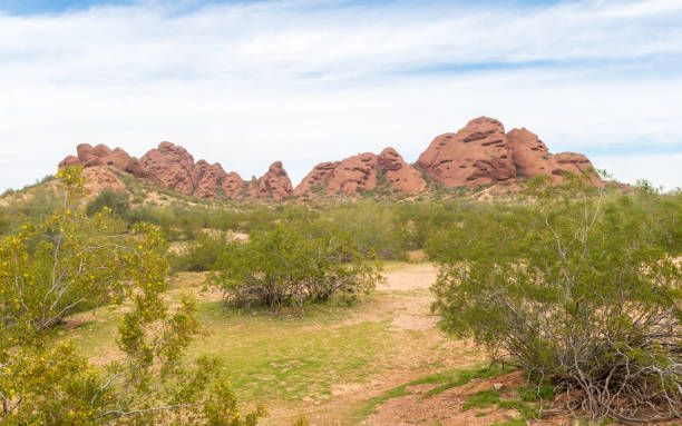 パパゴパークの砂岩岩形成 - papago ストックフォトと画像