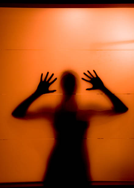 istock Young woman behind the matte glass 121132822
