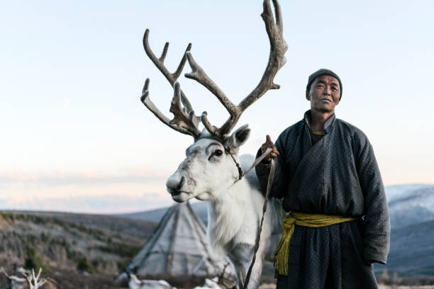 homme guidant des rennes en mongolie en hiver - travel nature outdoors independent mongolia photos et images de collection