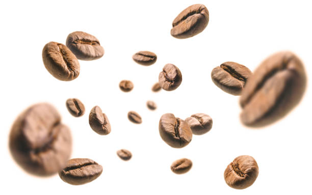 Coffee beans levitate on a white background Coffee beans levitate on a white background. coffee crop photos stock pictures, royalty-free photos & images