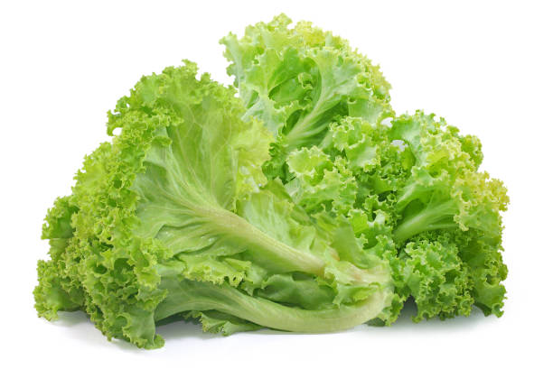istock Salad vegetable, Lettuce isolated on white background 1211330889