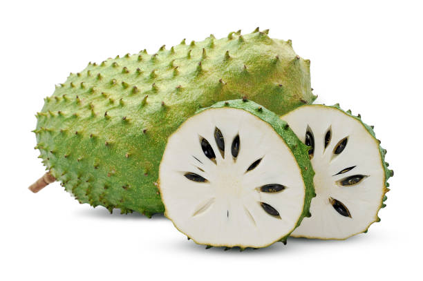 Soursop or custard apple fruit isolated on white background Soursop or custard apple fruit isolated on white background annona muricata stock pictures, royalty-free photos & images